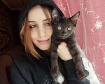 Кошки в Самаре: Чёрный котёнок в добрые руки Мальчик, Бесплатно - фото 5