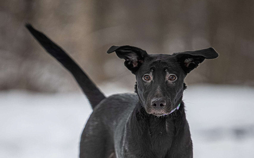 Здравствуйте. Это Макс.