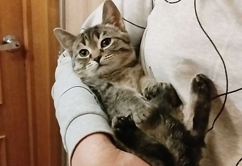 Малютка Томочка