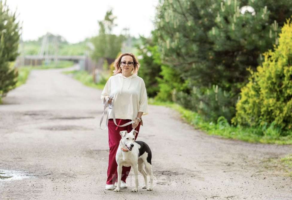 Собаки в Люберцах: Добрая и ласковая Марта 1,5 года ждет своего хозяина Девочка, Бесплатно - фото 5