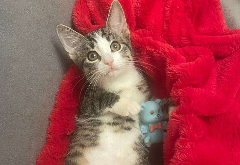 Забавная малютка Наточка