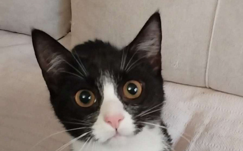 Удивительная малышка Асенька