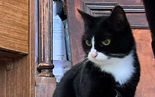 Стешенька знает, как навести уют в доме