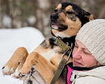 Собаки в Ногинске: Кузька - маленький песик в дар Мальчик, Бесплатно - фото 9