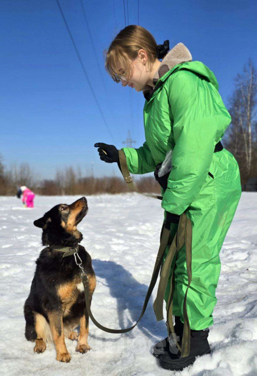 Собаки в Королеве: Града - воплощение безграничной нежности! Девочка, Бесплатно - фото 6