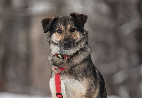 Энергия Солнца и Нежность Шёлка!