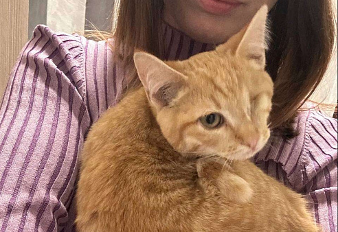 Рыжий особенный котенок ищет любящую семью