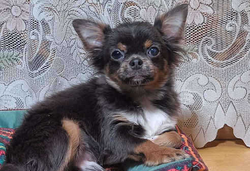 Курносенький малыш