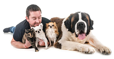 ТОП-30 лучших пород собак-компаньонов