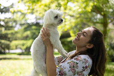 Сколько весит мальтийская болонка?