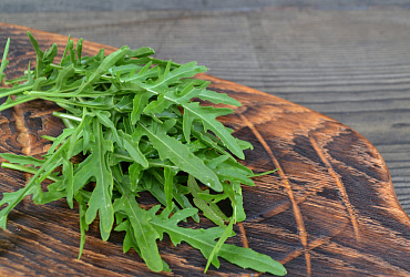 Можно ли кошкам рукколу? 