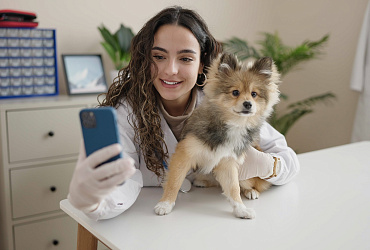 Московский международный ветеринарный конгресс — ММВК 2026