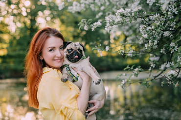 Вязка мопса – как правильно вязать породу