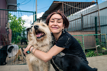  WOOF-фестиваль: шанс подарить дом бездомным животным! 