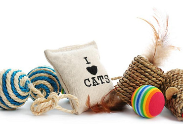 Какие игрушки нужны котятам