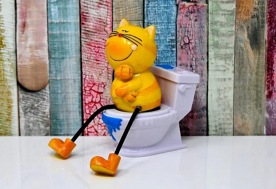 Выбор наполнителя для кошачьих туалетов: виды, характеристики, обзор фирм