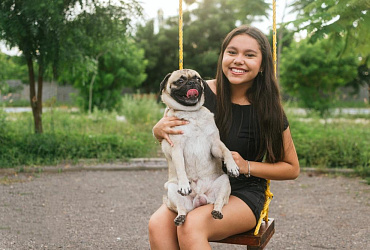 Бывают ли злые мопсы?