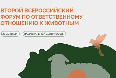 В Москве пройдет Второй Всероссийский форум ответственного отношения к животным