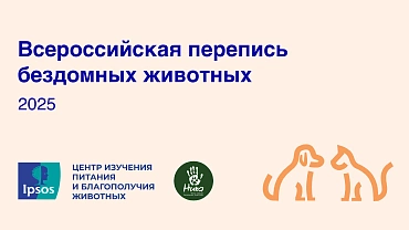 Всероссийская перепись бездомных животных