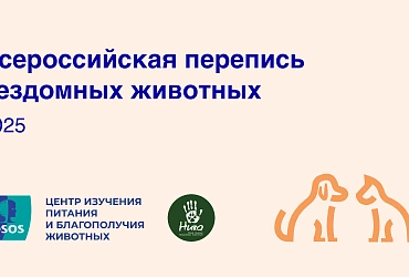Всероссийская перепись бездомных животных