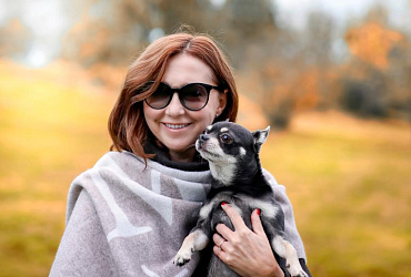 Почему чихуахуа такие злые – или это не так?