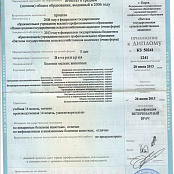 Документы и сертификаты – Чуракова Анастасия – Фото 2