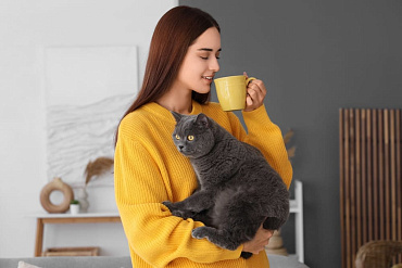 Можно ли кошкам чай? 