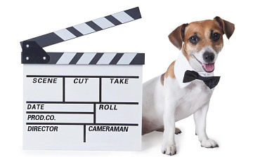 Подборка пород собак из известных фильмов