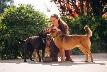 Приюту «Ласка» исполнилось 24 года