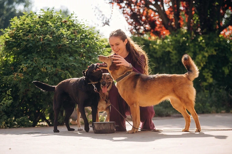 Приюту «Ласка» исполнилось 24 года