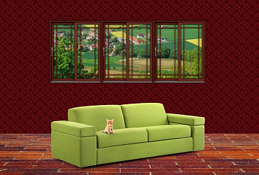 Первые дни котенка в новом доме