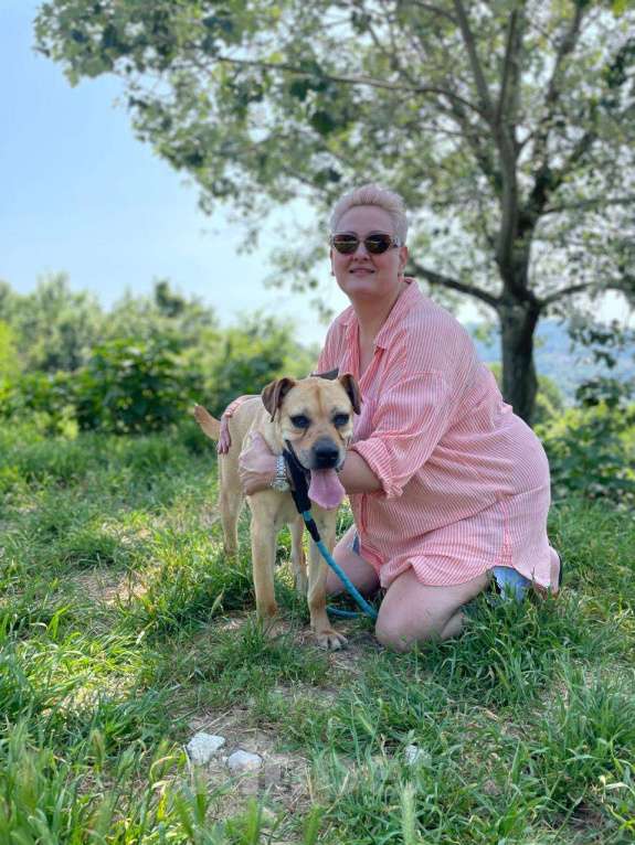 Собаки в других городах Краснодарского края: Метис лабрадора и стаффа в дар с доставкой Мальчик, Бесплатно - фото 6