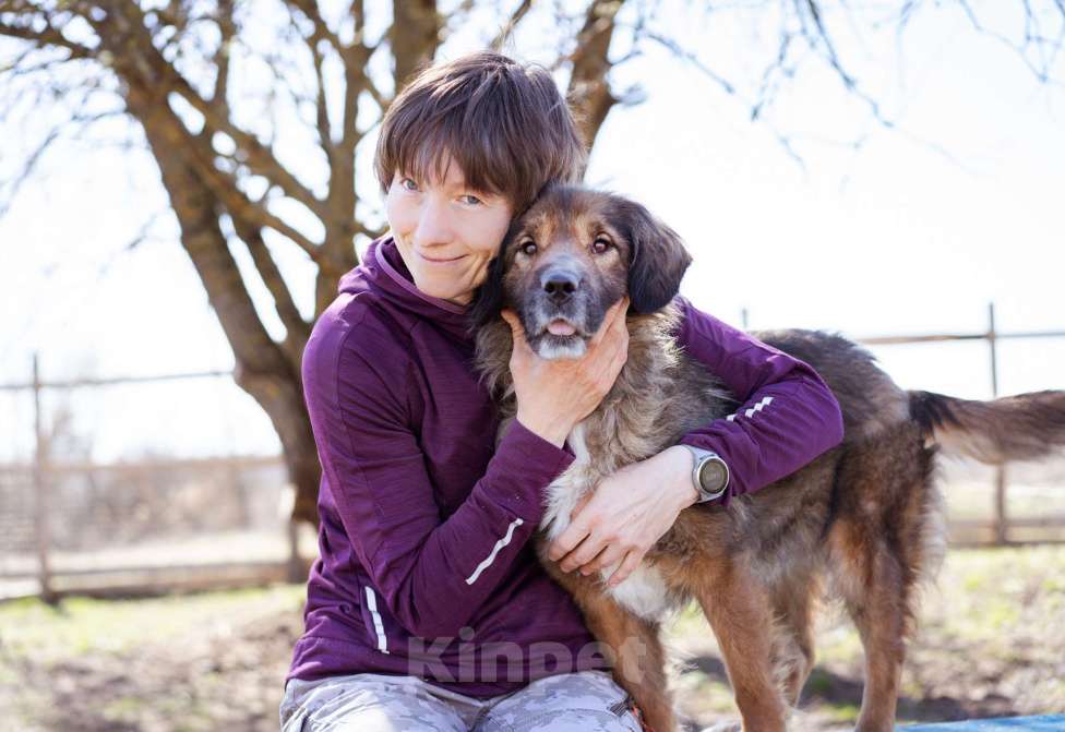 Собаки в Москве: Девочка в добрые руки Девочка, Бесплатно - фото 9