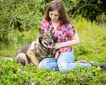 Собаки в Солнечногорске: Небольшая, спокойная собачка в дар Девочка, Бесплатно - фото 4