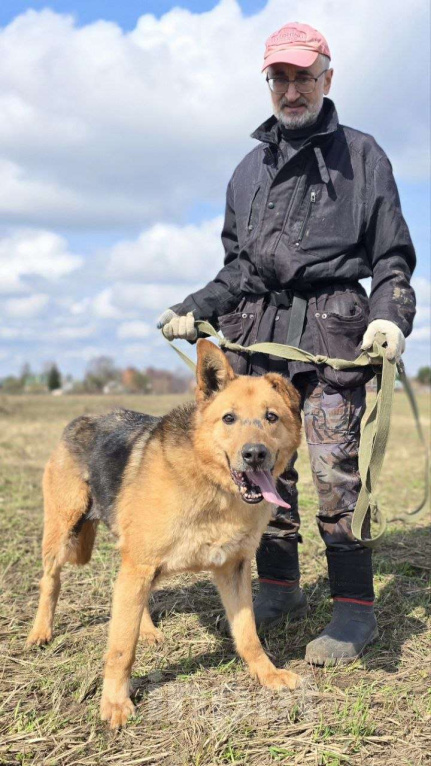 Собаки в Королеве: Линда Девочка, Бесплатно - фото 4