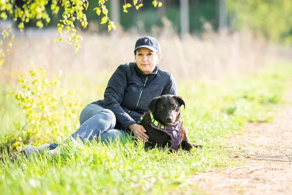 Собаки в Москве: Собака в дар Девочка, Бесплатно - фото 9