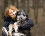 Собаки в Москве: Голубоглазый добрый мальчик Барошка 6 месяцев  Мальчик, 100 руб. - фото 4