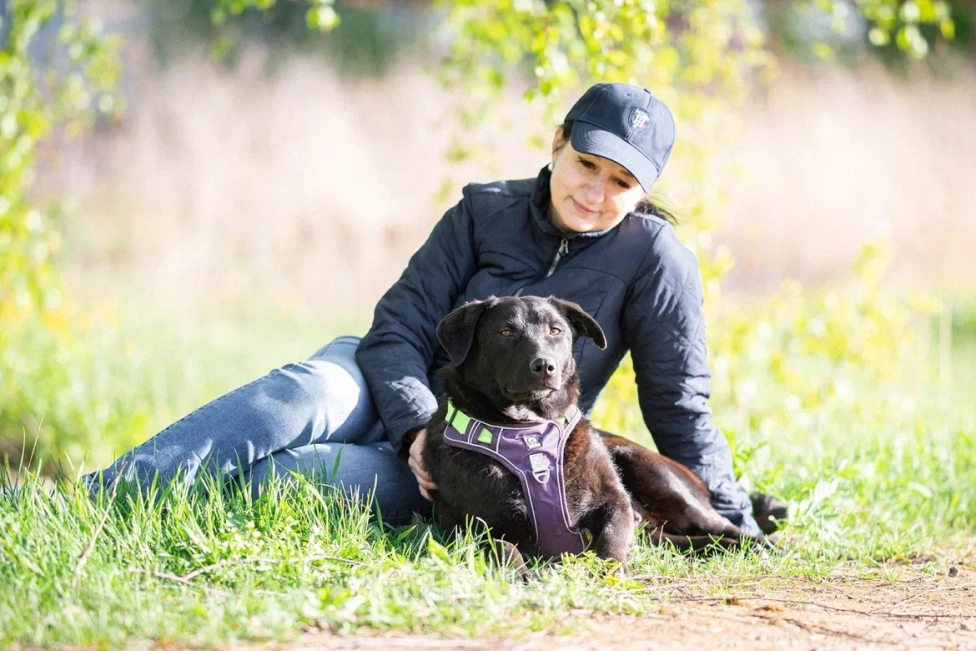 Собаки в Москве: Собака в дар Девочка, Бесплатно - фото 8