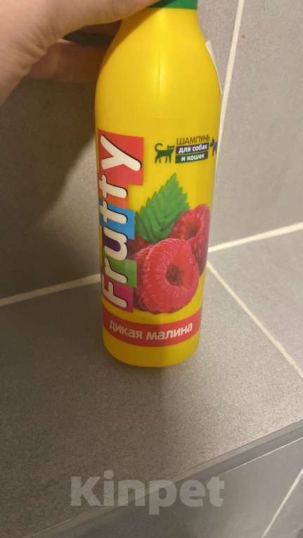 Кошки в Ростове-на-Дону: Канадский сфинкс  Мальчик, Бесплатно - фото 3