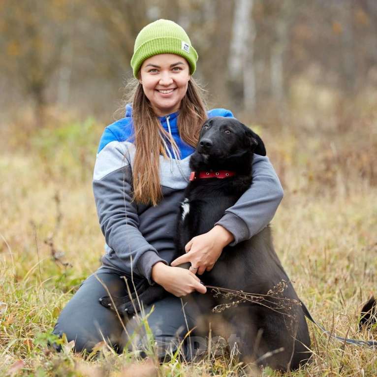 Собаки в Москве: Сури Девочка, Бесплатно - фото 8