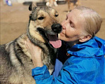 Собаки в Москве: Общительный, дружелюбный пёс Поль из приюта, ищет дом Мальчик, 10 руб. - фото 1