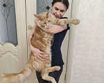 Кошки в Тобольске: ВЯЗКА Мальчик, 5 000 руб. - фото 6
