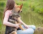 Собаки в Солнечногорске: Умненькая девочка в добрые руки Девочка, Бесплатно - фото 3