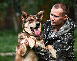 Собаки в Москве: Спокойный и дружелюбный пес Филя ищет дом! Мальчик, Бесплатно - фото 4