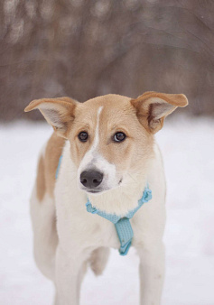 Сама нежность Раф в поисках семьи