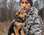 Собаки в Москве: Маленькая девочка из приюта ищет дом! Девочка, Бесплатно - фото 1