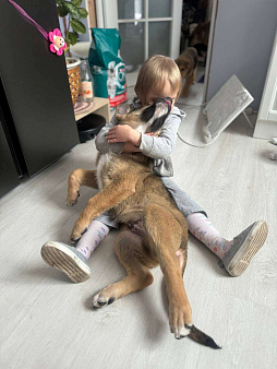 Мишка и Тотошка