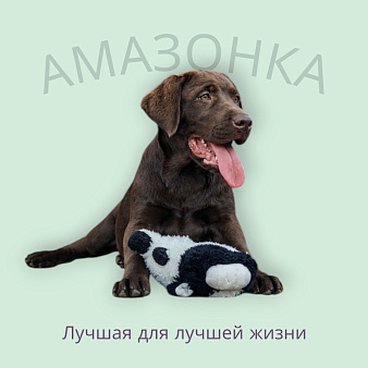 Щенки лабрадора с здоровой генетикой