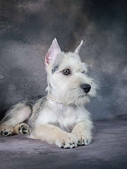 Подрощенная девочка