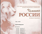 Собаки в Казани: Щенки сиба-ину — мальчик и девочка. Можно бронировать! Девочка, Бесплатно - фото 4